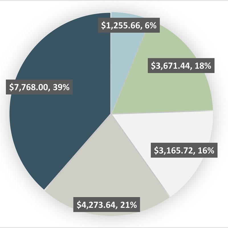 Pie chart illustrating GSAWS expenses for 2020