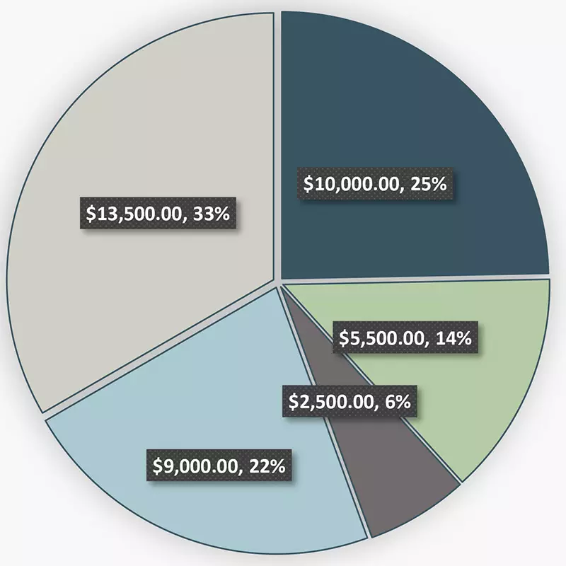 Pie chart illustrating GSAWS budget allocations for 2021. 